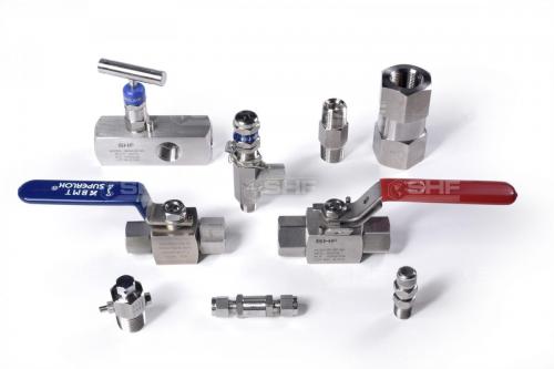 Stainless Valves